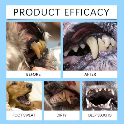 [Official Store] Yovot® Pet Dental & Digestive Health Oral Liquid – Freshen Breath, Remove Tartar & Promote gum regeneration, stabilize teeth (for Cats & Dogs)  – Save 80% Today!